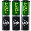 Dunlop Fort 4-Ball DOZEN - Tennis Balls Image
