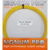 SIGKS130P Professional Grade Graphite Squash Racket