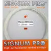 SIG PHP 120 NP Squash Racket - view from the front