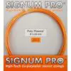 SIGPP118P - Professional Grade Tennis Racket with Graphite Frame and String Pattern designed for enhanced performance and control.