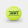 Image of a championship ball used in sports competitions