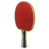Karakal KTT1000 tennis bat