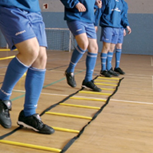 Indoor ladder for fitness training and exercise