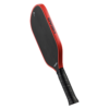 Head Radical Tour EX Raw Pickleball Paddle (2024)