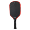 Head Radical Tour EX Raw Pickleball Paddle (2024)