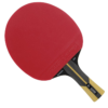 Dunlop Revolution 5000 Table Tennis Bat