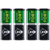 Dunlop Fort All Court Tournament Select (Dozen)