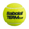Babolat Team Clay Ball (Dozen)